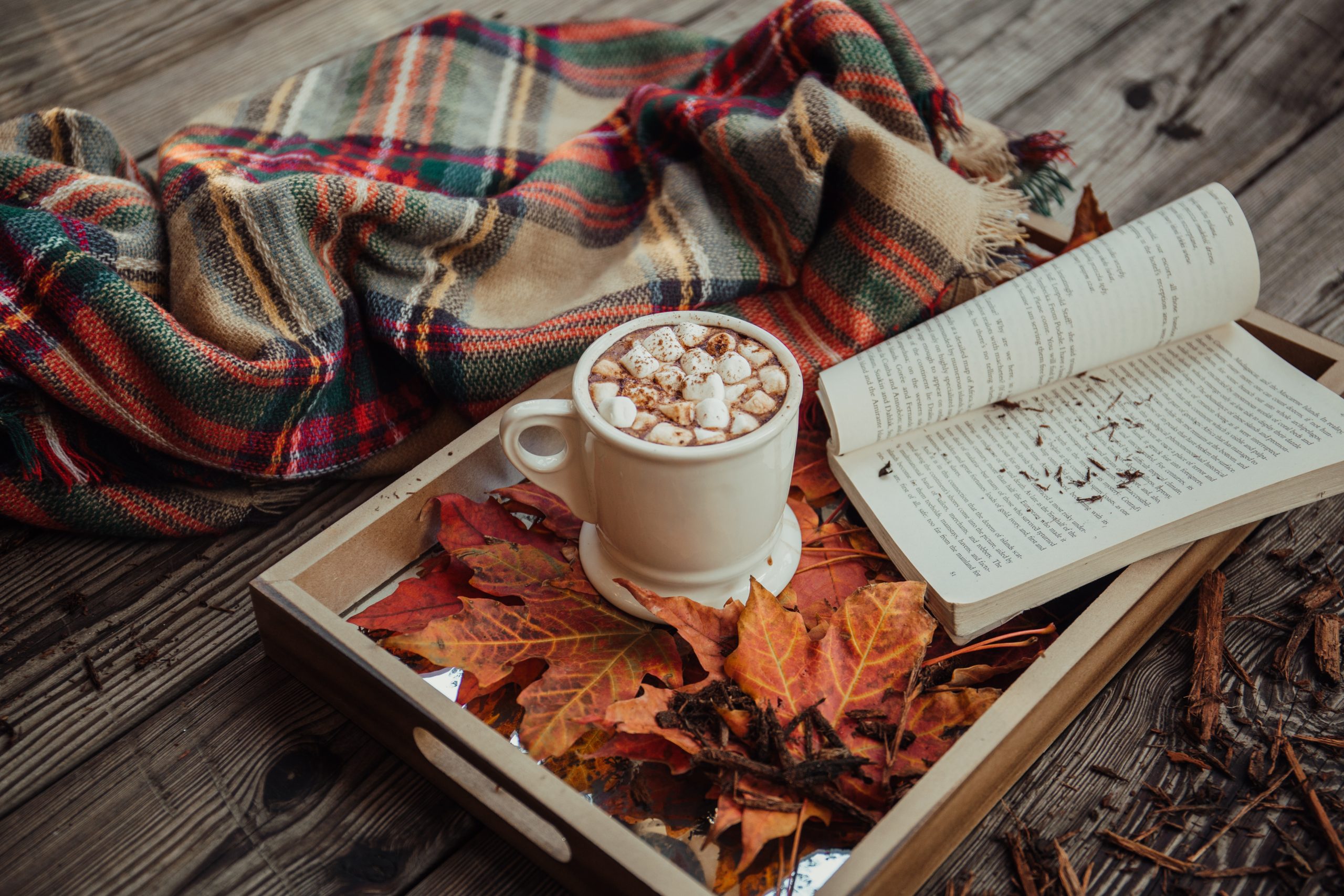 Emotional Wellbeing and Mental Health during the Autumn